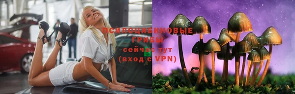 индика Богданович