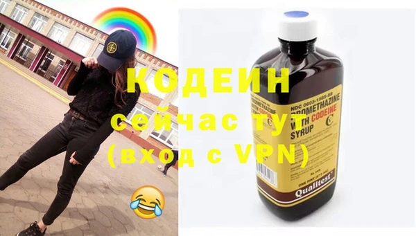 индика Богданович